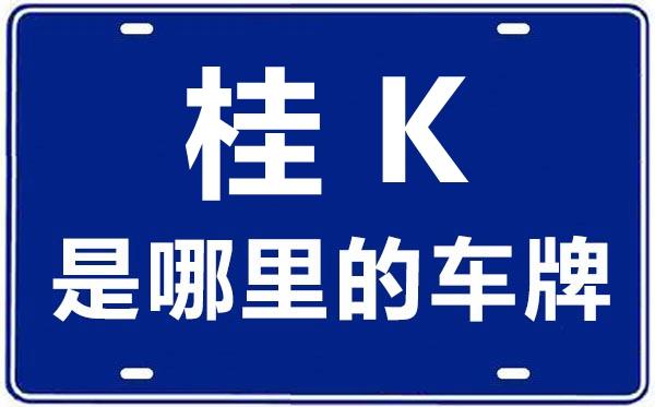广西交通强制险网上怎样查询，车牌号是桂K-EW513？（车牌513含义）-图2