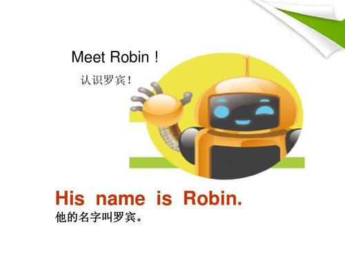 “robin”是什么意思？（robin人名含义）-图1