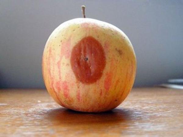 烂苹果是什么？（烂苹果含义）-图2